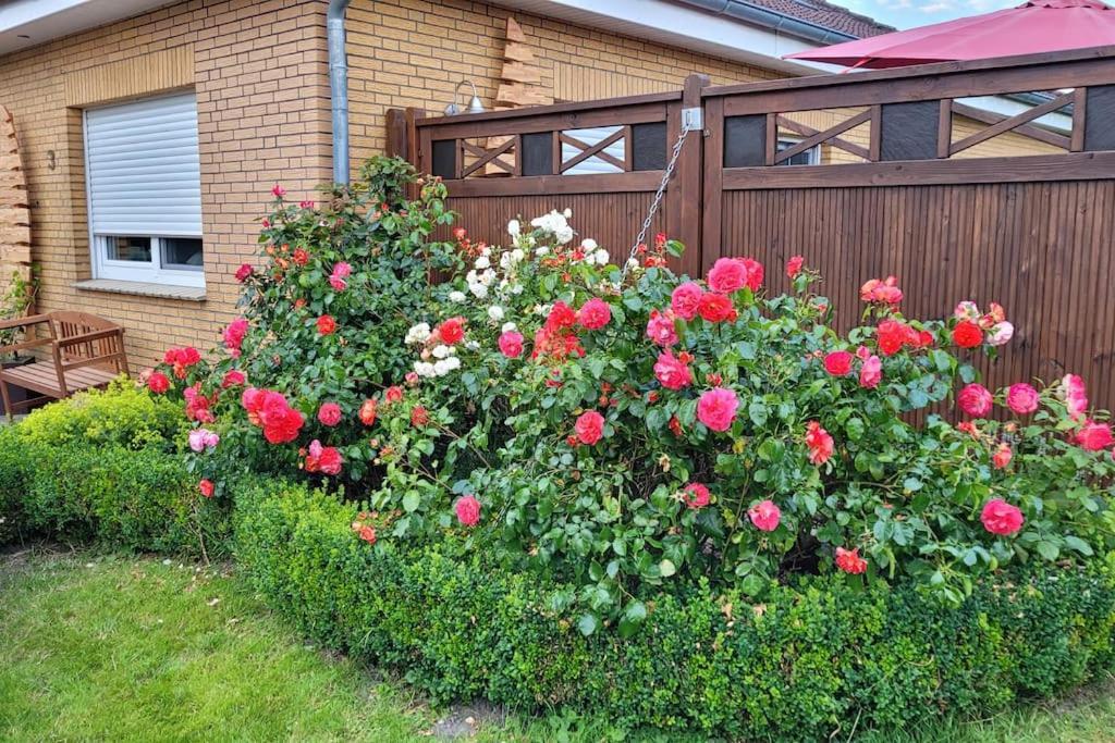 Вилла Fh Ostfriesland To Huus, Zw. Emden Und Greetsiel Hinte Экстерьер фото